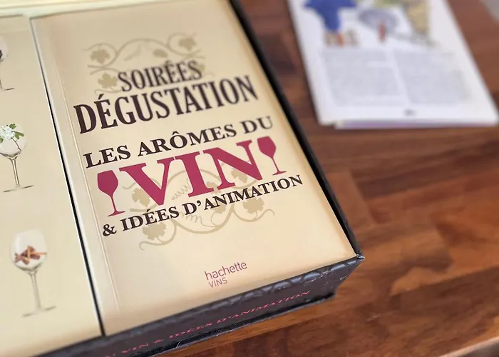 Le Canyon Centre By Myfrenchpat Terrasse & Parking 公寓 *